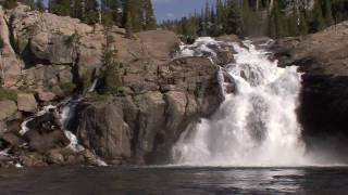 Yosemite Nature Notes  7  Tuolumne River [upl. by Ahseyn]