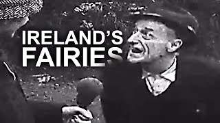 Irish People TERRIFIED of Fairies  Televised Éireann [upl. by Modla]