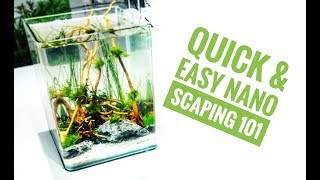 HOW TO SCAPE a Dennerle 10 litre NANO AQUARIUM [upl. by Levine]