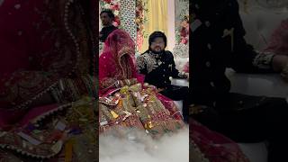 Ishaan bhai or bhabhi ki grand entry ishaanali  wedding shortvideo [upl. by Nimoynib]