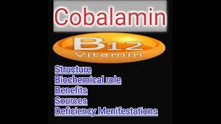 Vitamin B12  Cobalamin Lecture [upl. by Pembrook]