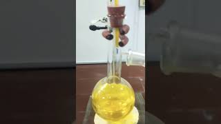 Simple Distillation Experimental Setup chemistry practical cbse [upl. by Ellenwad]