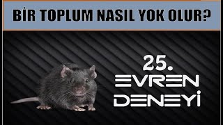 25 EVREN DENEYİ [upl. by Carolynn203]