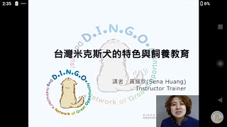 台灣米克斯犬的特色與飼養教育 ～ 2021 DINGO conference [upl. by Remmus744]