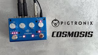 Pigtronix Cosmosis Reverb [upl. by Mouldon769]