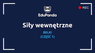 Siły wewnętrzne  belki część 1 dla początkujących [upl. by Zetneuq]