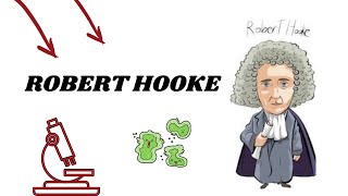 ROBERT HOOKE um cientista eclético [upl. by Nylesor]