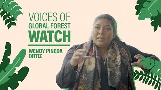 Voices of Global Forest Watch Rainforest Foundation US [upl. by Inal324]