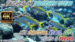 Tauchen im Indischen Ozean 🐡 🐠 🦞 [upl. by Nnylatsirk]