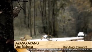 Mahesa  Ayang Ayang Official Music Video [upl. by Jann30]