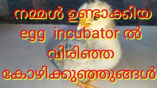 how to make egg incubator  malayalam  hatching egg [upl. by Egedan]