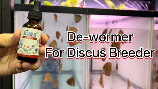 DeWormer for Discus Breeder and other freshwater and saltwater fish [upl. by Shutz731]