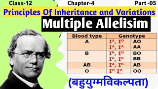 Multiple Alleles  Class 12 Genetics  Principle of Inheritance and Variation [upl. by Wurtz]