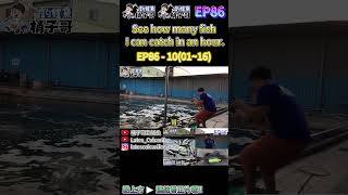 EP8610 0116 1小時14隻另有大金目鱸拉爽爽 金目鱸 海釣場 大湖海釣場 Barramundi LatesCalcarifer Fishing [upl. by Yelekreb]