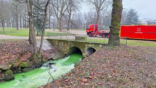 LOrnel fluorescente  Quatil bien pu se passer [upl. by Chuch445]