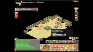 Tutoriel Dofus Laboratoire de Brumen Tinctorias [upl. by Eiramyelhsa]