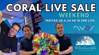 💦 Coral Live Sale 💦 Live aus dem White Corals Studio 💦Tag 1 am 28624 ab 18 Uhr 💦 [upl. by Dygall128]