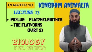 Phylum Platyhelminthes – The Flatworms I Chapter 10 I FSc I First Year I biology I Lec 12 [upl. by Eelahs]