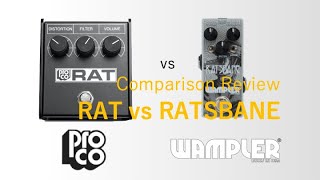 Wampler Ratsbane VS ProCo RAT  Comparison Review [upl. by Aisorbma]