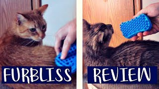 FURBLISS BLUE MULTIFUNCTIONAL GROOMING PET BRUSH REVIEW  DEMO ON CATS [upl. by Warder]