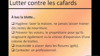 Lutter contre les cafards [upl. by Fronnia]