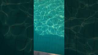 Water in swimming pool footageSHORTS [upl. by Bartolemo651]