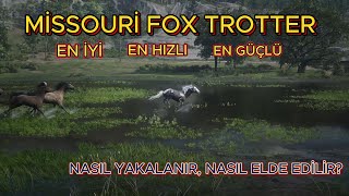 MİSSOURİ FOX TROTTER  RDR2nin En İyi Atı Nasıl Elde Edilir  RED DEAD REDEMPTİON 2 [upl. by Valerio]