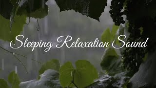 RAIN quotDreamy Rainfall  Deep Relaxation  Stress reduction  Sleep [upl. by Lledner]