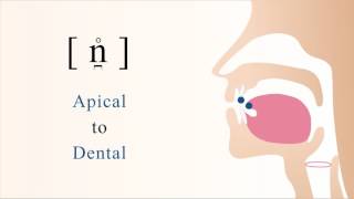 n̪̊  unvoiced apical dental nasal stop [upl. by Akemet534]