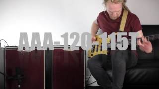 Ashdown AAA EVO 120 Bass Combo Demo  APPTEK [upl. by Ailati448]