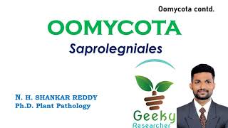 Lec 19 Oomycota Saprolegniales  Mycology  Plant Pathology  BScMSc Agriculture [upl. by Lyndsay]