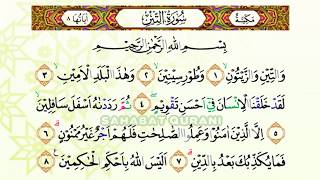 Bacaan Al Quran Merdu Surat At Tin  Murottal Juz Amma Anak Perempuan  Murottal Juz 30 Metode Ummi [upl. by Sculley]