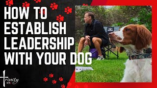 HOW TO ESTABLISH LEADERSHIP WITH YOUR DOG [upl. by Ludewig]