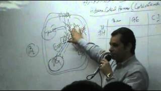 DrAhmed Abd ElRahman  Hormones 4  TopicCorticosteroids  Part 2 [upl. by Ailemak130]