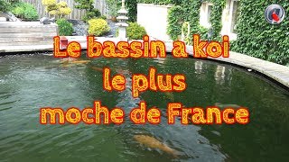 Le bassin a koi le plus moche de France [upl. by Aicila139]