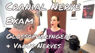 Cranial Nerve Examination  Glossopharyngeal and Vagus Nerve [upl. by Yerocal]