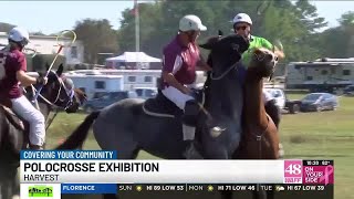 Polocrosse players hope to grow sport in north Alabama [upl. by Alton50]