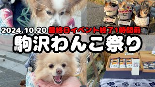 【犬イベント】駒沢わんこ祭り2024 最終日の1時間だけ楽しんできた🐶駒沢公園聖地 dogvlog papillon pomeranianイベント [upl. by Gilchrist134]