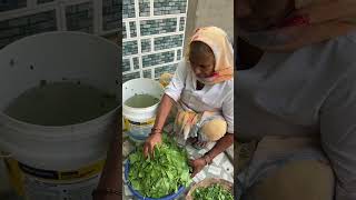 Bachho Ki Farmaish palaksaag villagefood villagekitchen sunilpalvlogs [upl. by Itoyj854]