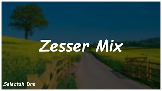 Zesser Mixtape  Selectah Dre [upl. by Neveda]