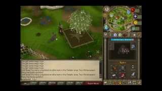 RuneScape  Achievement Diary  Falador  Elite [upl. by Inait]