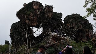 Avatar Rite of Passage at ​​⁠DisneyMovieTrailers Animal Kingdom [upl. by Eirhtug55]