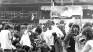 Raymond van het Groenewoud  Kamiel  Daddeemelee Live Pinkpop 1980 [upl. by Martie]