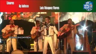 FESTIVAL DE CHANCO 2016  VICENTE VASQUEZ [upl. by Oos962]