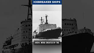 Icebreaker Ships Breaking Through Arctic Challenges  Nautical Depths [upl. by Odlabu613]