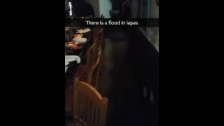 Ellicott City MD Flash Flood at La Palapa July 30 2016 [upl. by Adnerol900]