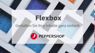 Flexbox im PepperShop [upl. by Nueormahc544]