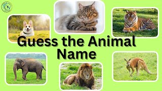 Guess the Animal Name Fun and Educational Animal Quiz for Kids  Learn Animals with Fun [upl. by Hairam]