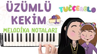 Tuğçe amp Elo  ÜZÜMLÜ KEKİM Melodika Notaları  Melodika Şarkıları [upl. by Criswell]