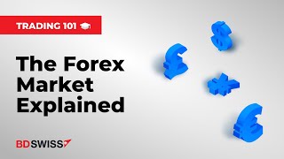 Trading 101 The Forex Market Explained  BDSwiss [upl. by Nariko]